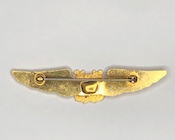 Original USCG Auxiliary gold pilot wings device - back